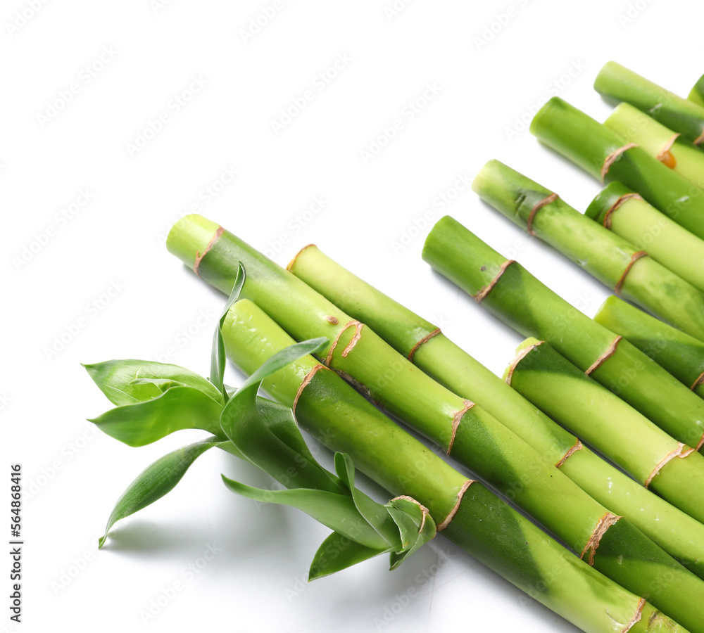 Obraz premium Green bamboo stems isolated on white background