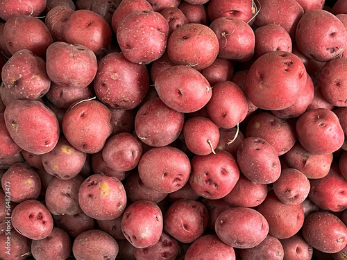 Heap of small red potatoes photo