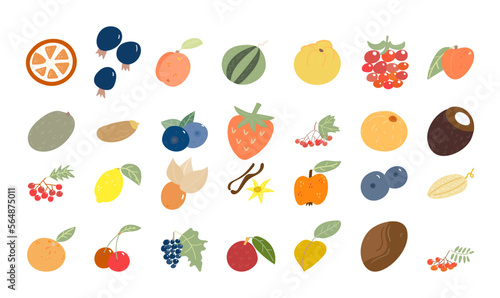 Fototapeta Naklejka Na Ścianę i Meble -  Colorful Flat Fruit Vector Set.Various fruits, including apples, oranges, pineapples, bananas, grapes, and more, Perfect for use in food-themed designs, packaging 