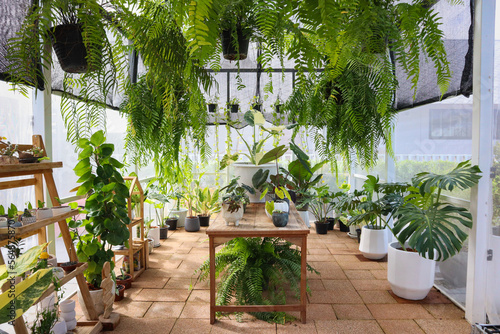 Tablou pe pânză Plants in greenhouse at garden,no people.