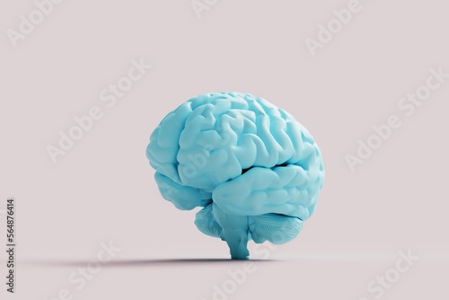 Human brains Anatomical Model Pattern on pink background. 3d rendering photo