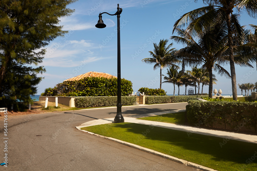 tree lined street and sidewalk tree lined street and sidewalk