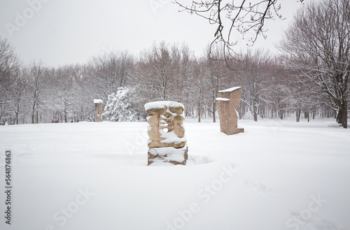 Snowy landscape Mount Royal park, Montreal, Canada 