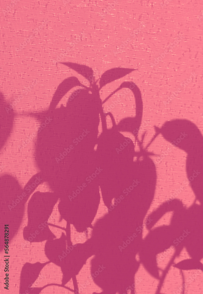Light and shadow sunset on old retro pink fabric texture. vintage textile background. Abstract backdrop with floral pattern and crossed lines shadows. Wabi sabi style aestetics Light and shadow sunset on old retro pink fabric texture. vintage textile background. Abstract backdrop with floral pattern and crossed lines shadows. Wabi sabi style aestetics
