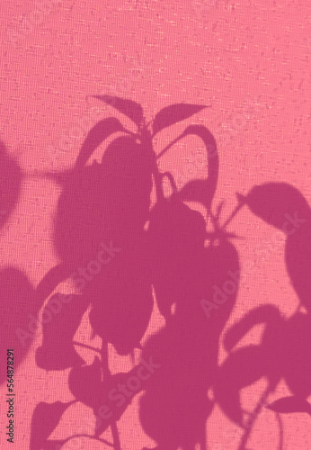 Light and shadow sunset on old retro pink fabric texture.  vintage textile background. Abstract backdrop with floral pattern and crossed lines shadows. Wabi sabi style aestetics