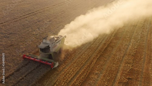 Drone footage of huge wheat fields with combiners driving along. Picking and collecting crops as seen from above. High quality 4k footage photo