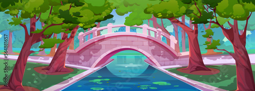 Summer park landscape with bridge over pond, floating water lily leaves, grass and trees with green foliage. Forest or sunny garden with stone bridge and river or canal, vector cartoon illustration