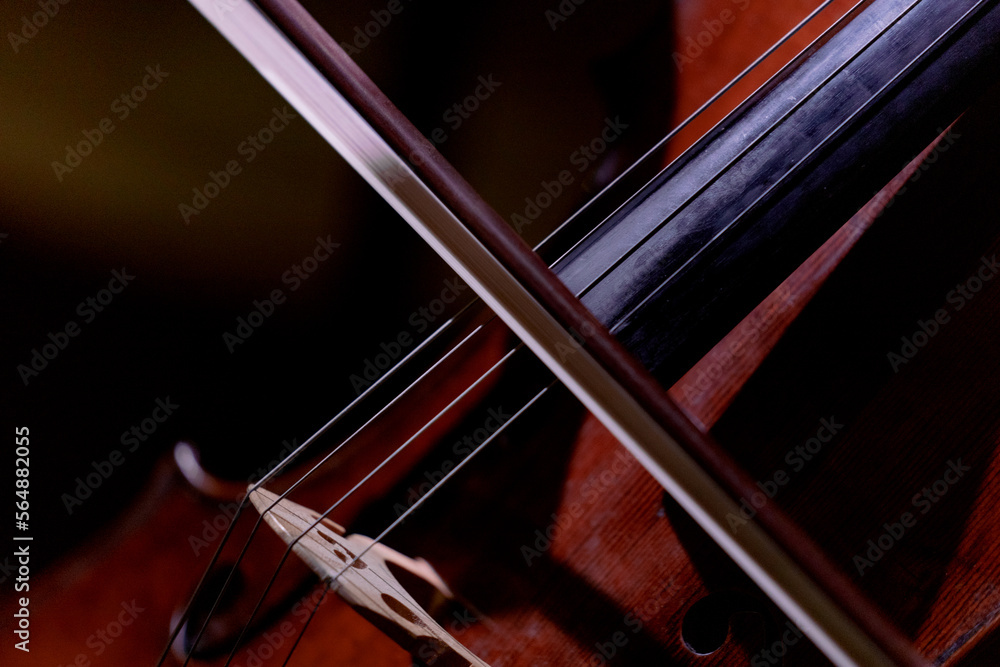 Cello close-up