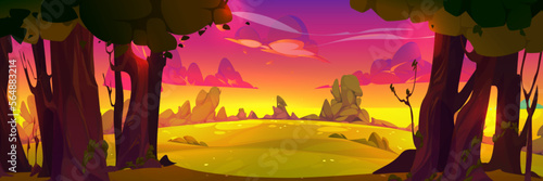 Summer sunset forest landscape with green trees  bushes  grass. Nature park scenery  countryside panorama with trees and meadows in early evening  pink sky with clouds vector cartoon illustration