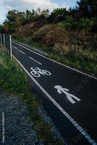 Bicycle lane with pictograms