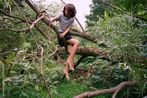 Young woman sitting on the tree branch photo