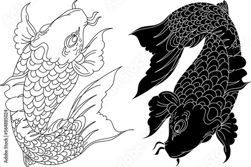 koi carp vector isolate for tattoo.Japanese carp drawing.Hand drawn line art of fish (Koi carp). Vector isolated. Idea for tattoo and coloring books.