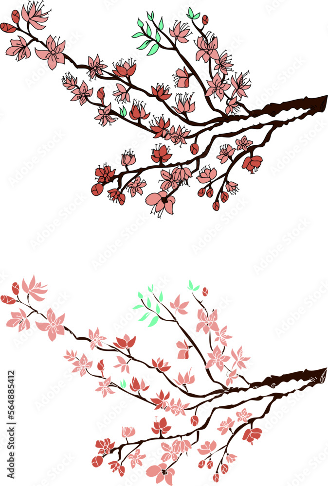 Peach flower and cherry blossom set.Sakura vector set.isolate and golden flower.