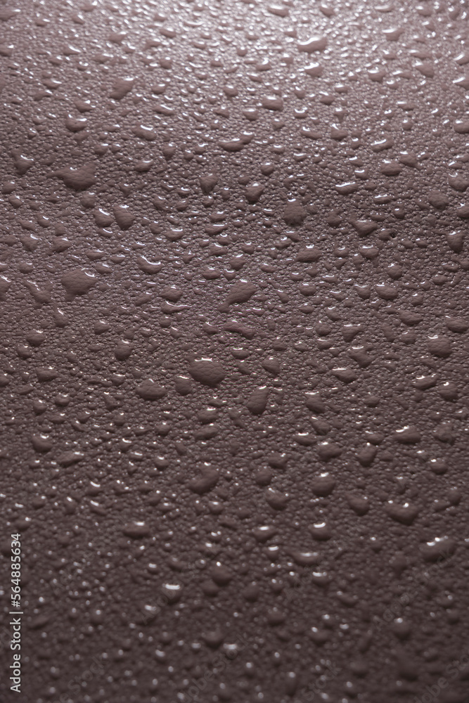 Abstract background, texture, skin covered with raindrops by condensation. Abstract background, texture, skin covered with raindrops by condensation.