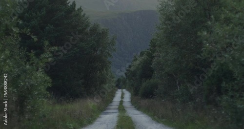 Cyclist on a touring bike approaching from afar on a desolate gravel road in the forrest in Norway, Scandinavia in heavy wind photo