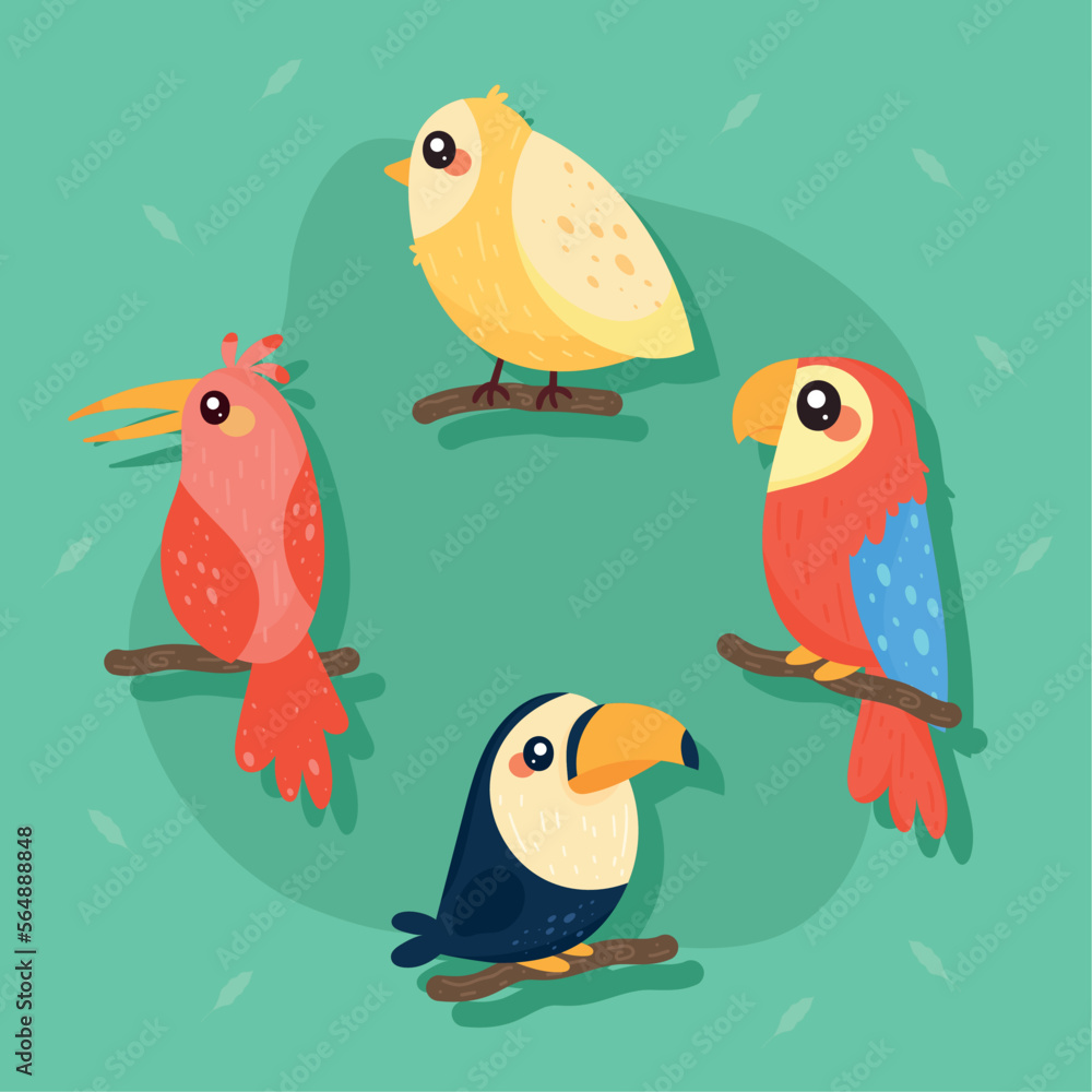 little and exotic birds little and exotic birds