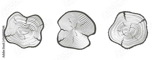 Tree rings wooden logs. Circle annual stump texture and topography circles. Outline timber slices set. Vector