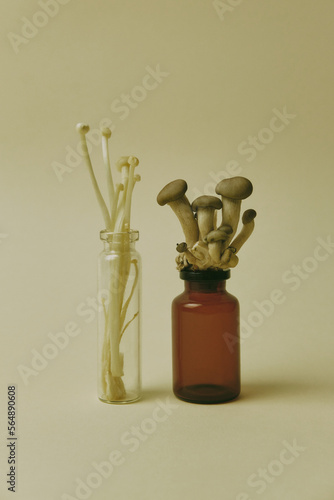 Medicinal mushrooms still life photo