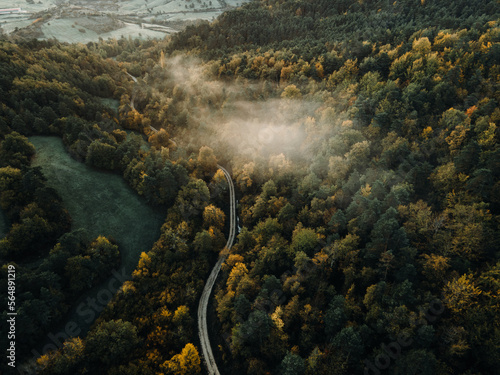 Aerial view of thick forest in autumn with road cutting through photo