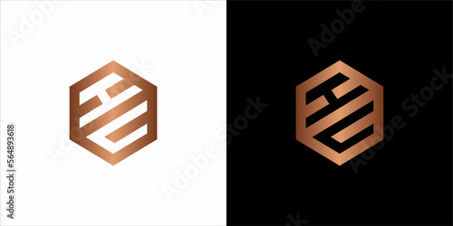 the beautiful  infinity monogram in incredibly luxury and classy style, elegant circular  logo template for a high-end brand personality