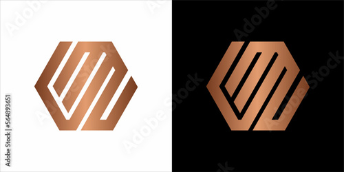 the beautiful  infinity monogram in incredibly luxury and classy style, elegant circular  logo template for a high-end brand personality