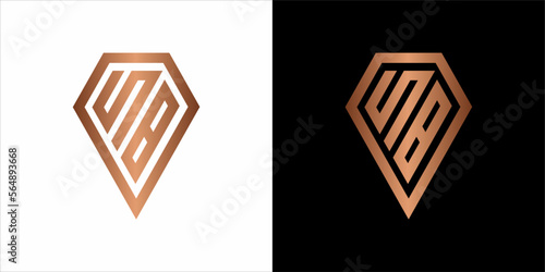 the beautiful  infinity monogram in incredibly luxury and classy style, elegant circular  logo template for a high-end brand personality