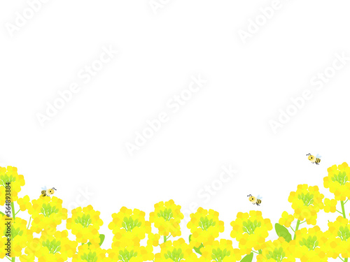 春の菜の花畑と可愛いミツバチのフレーム背景イラスト