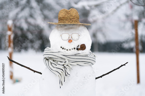 Snowman With Scarf photo