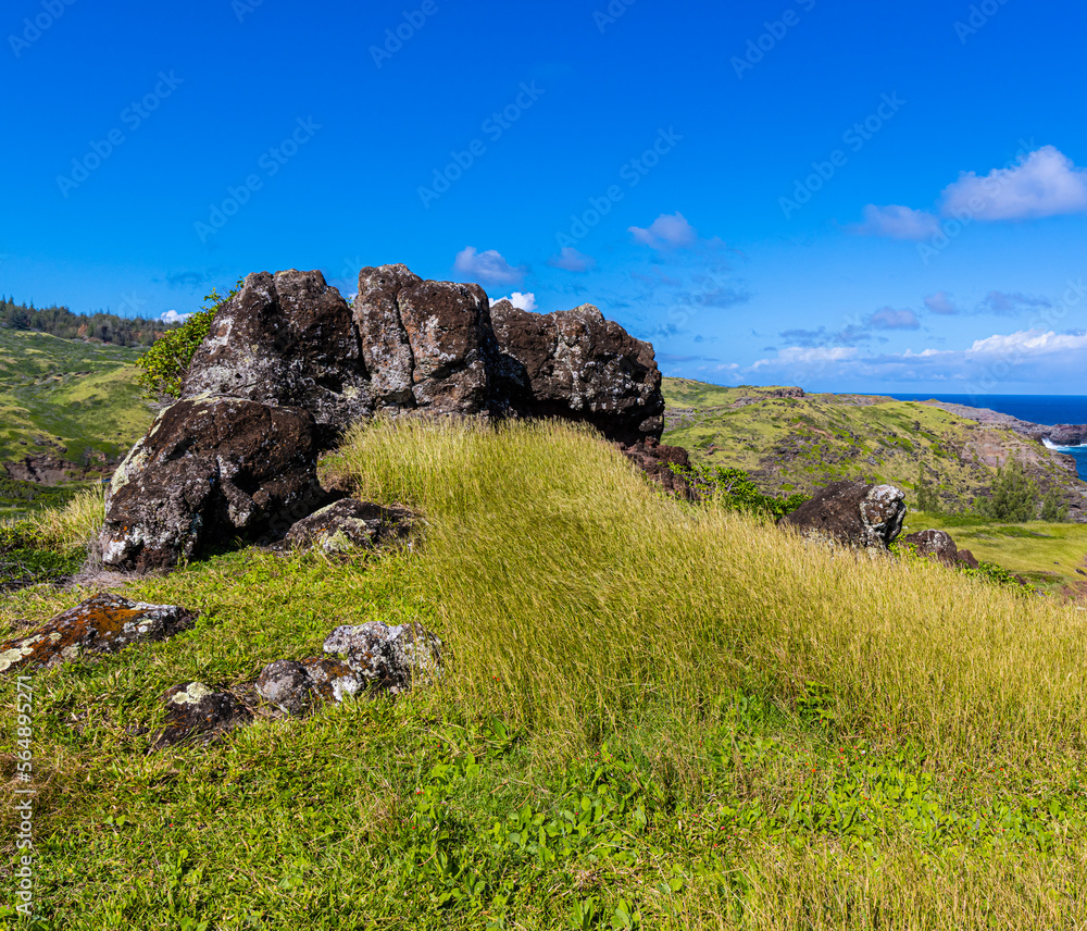The Waikeakua Gulch Overlook Above Sea Cliffs on The Maui Coast, Maui, Hawaii, USA