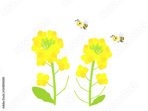 春の菜の花畑と可愛いミツバチのイラスト素材