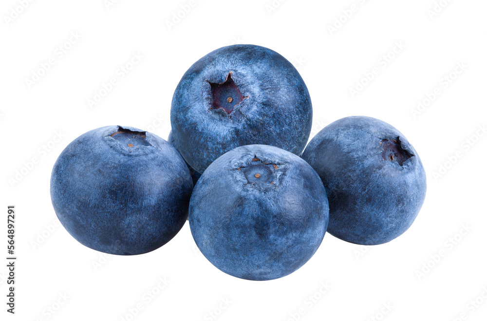 Fresh blueberry  isolated on transparent png