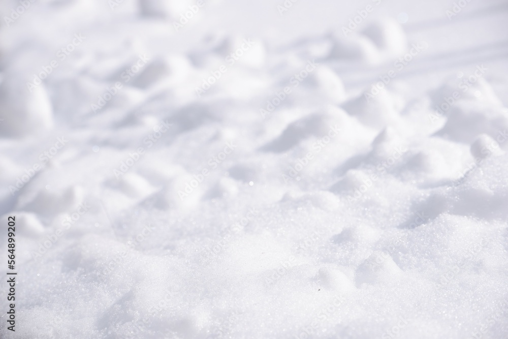 Obraz premium 真っ白な雪