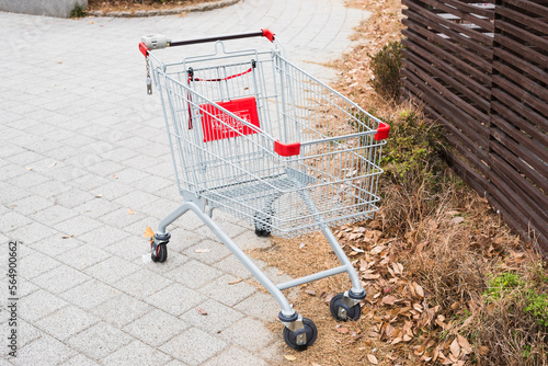 Shopping cart photo