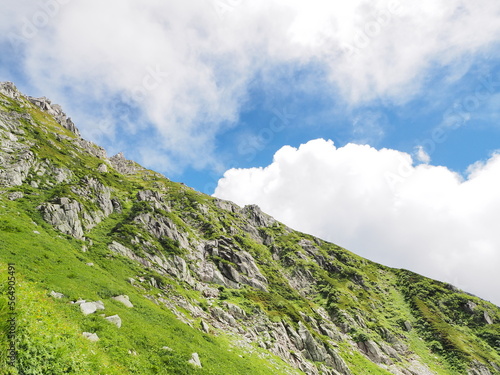 夏の高山の風景