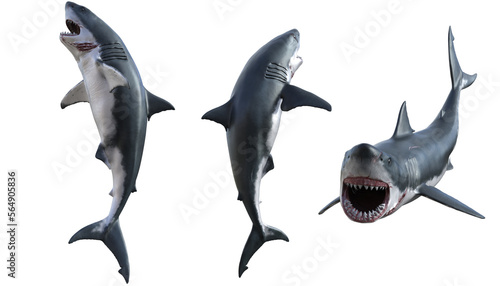 3d render white shark creature from the sea