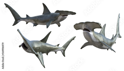 3d render white shark creature from the sea
