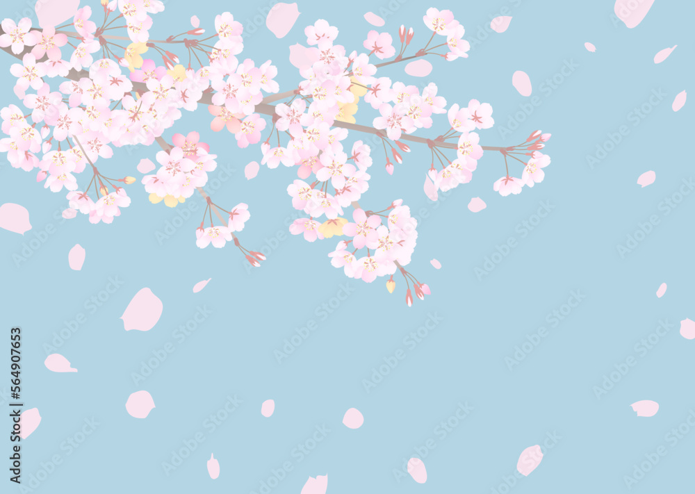 花曇りの空を見上げた、落ち着いた雰囲気の桜の背景イラスト
