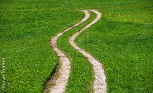 winding path leads through a meadow