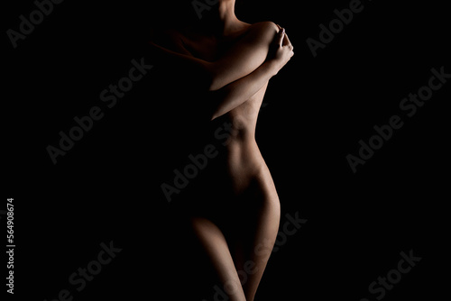 Nude Woman in the Dark. Beautiful Sexy Silhouette
