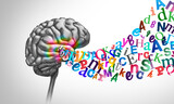 Reading and literacy and education or mental health as a brain with alphabet letters representing learning to read and comprehension as well as the spoken language