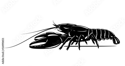Realistic broad-fingered crayfish black and white isolated illustration, one big freshwater Noble crayfish on side view