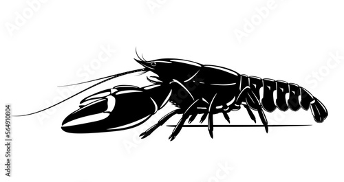 Realistic signal crayfish black and white isolated illustration, one big freshwater North American crayfish on side view, Europe invasive species
