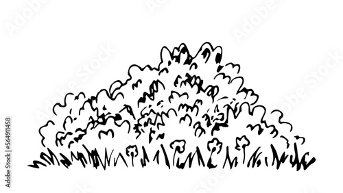 Simple black outline vector drawing. Lush bush, grass and flowers, Vegetation and trees. Nature, summer landscape. Sketch in ink.