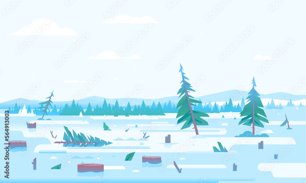 Winter deforestation with many stumps and small spruce trees after Christmas, nature disaster