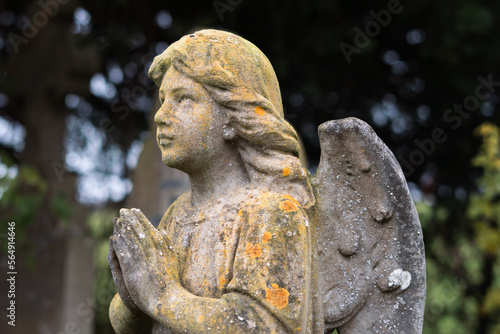 An angel statue in a graveyard photo