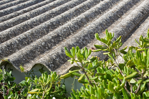 Old aged dangerous roof made of prefabricated corrugated asbestos panels with green plants photo