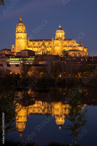  Cathedral of Salamanca photo