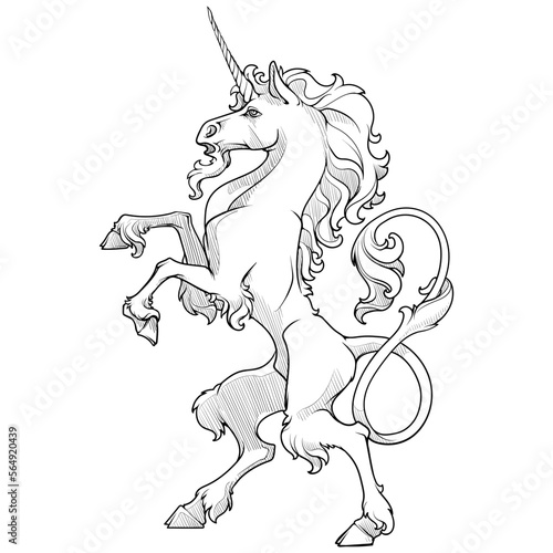 Heraldic unicorn walking on hind legs. Heraldic supporter a part of a Coat of Arms. line drawing isolated on white background. EPS10 vector illustration.