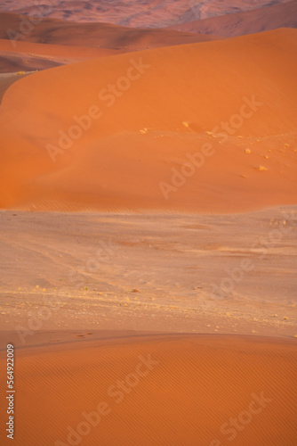Sand Dunes in the Namib Desert, Namibia, Africa.