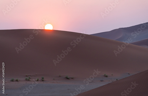 Sand dunes in front of the sun at sunset in Namibia, Africa. photo
